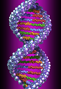 Генетические алгоритмы на Форекс / Forex