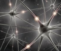 Раздел о нейронных сетях в применении к Форекс и машинном обучении