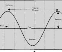 Теория циклов на валютном рынке Форекс