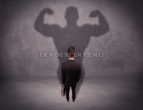 Этапы становления трейдера Этапы становления трейдера