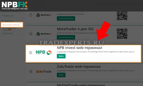 Веб-терминал NPB Invest Веб-терминал NPB Invest