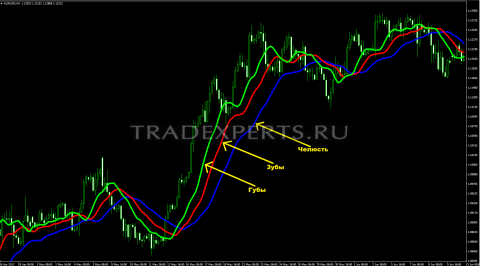 Индикатор Аллигатор пример 2