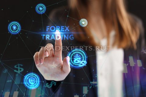 Учебный демо-счет на Forex фото 1 Учебный демо-счет на Forex фото 1