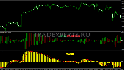Gator Oscillator индикатор фото 3