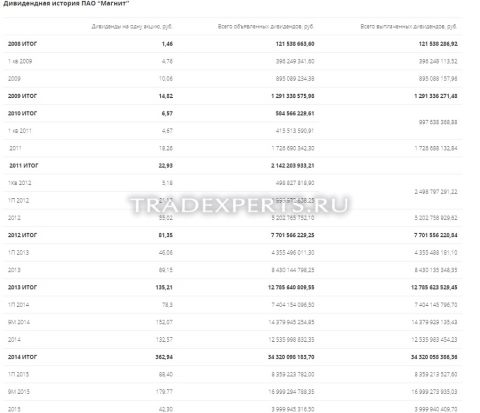 Фундаментальный анализ Магнит пример 5