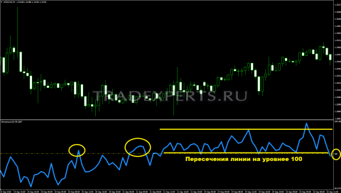 Индикатор Моментум изображение 4 Индикатор Моментум изображение 4