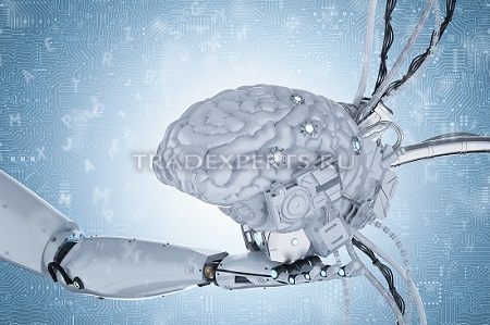 Начальные термины и частые вопросы о Форекс изображение 2