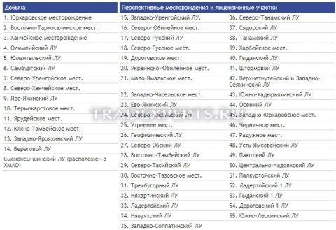 Фундаментальный анализ Новатэк фото 2