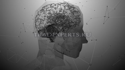 Основные ошибки трейдеров на рынке Форекс фото 3