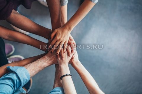 Партнерские программы Forex Партнерские программы Forex