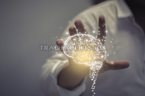 Психология рынка Forex и понимание торговых процессов Психология рынка Forex и понимание торговых процессов