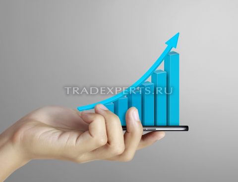 Рейтинг Брокерских Компаний оказывающих услуги на рынке Форекс Рейтинг Брокерских Компаний оказывающих услуги на рынке Форекс