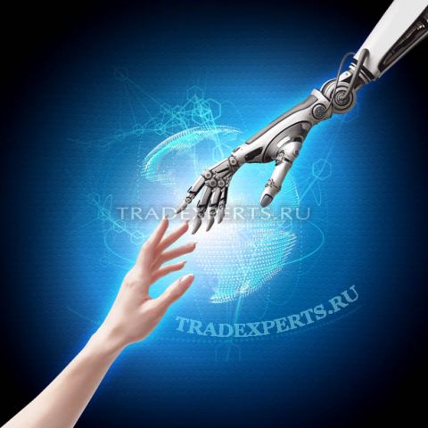 Скачать торговые роботы форекс бесплатно Скачать торговые роботы форекс бесплатно