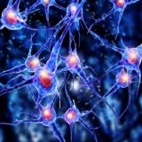 Скачать нейросетевую автоматическую торговую систему Форекс