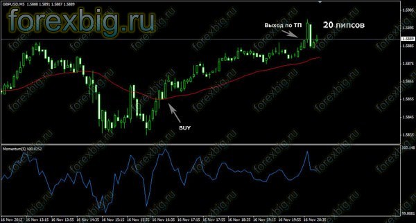20 пипс за день 20 пипс за день